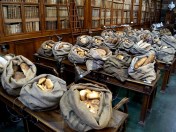 DSC02147 malaguti_1500_0_resize_90