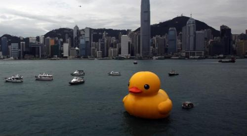 canard jaune hong kong rtxz741