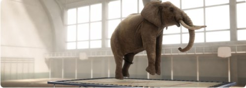 film_imageimage3021_95