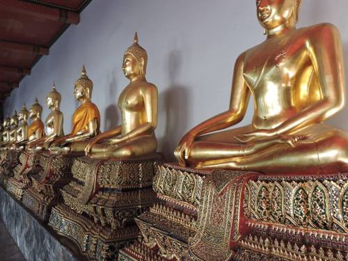 b2 10394139_831040413601095_1847495282423968889_n