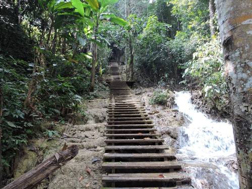 l510363250_836610709710732_1802329730646751050_n