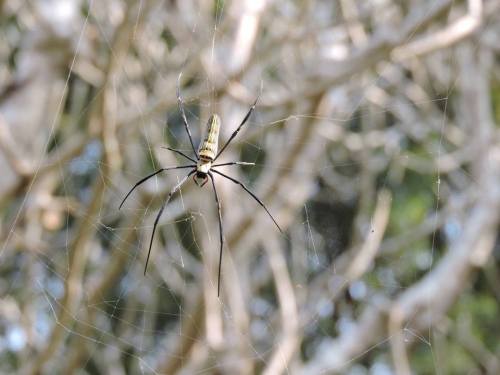 l510614323_836608683044268_7395110467921212547_n