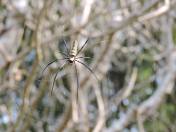 l510614323_836608683044268_7395110467921212547_n