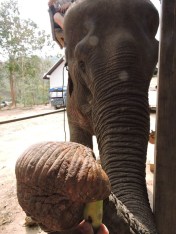 l511007724_836606083044528_8713066226166286412_n