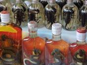 l51378572_836606163044520_7483845071269693348_n