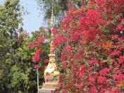 la1210407791_627342400744403_462672660079763985_n