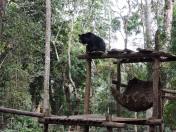 la410984974_627601537385156_130857486733507473_n