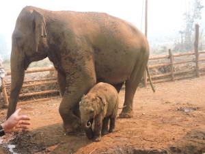 e-11048278_640225149456128_206708955868392070_n