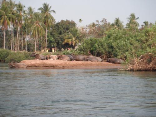 me 2 11014667_634032896742020_932554754369267941_n