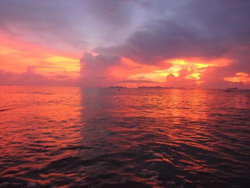 k11182260_674236489388327_6782309867858740402_n