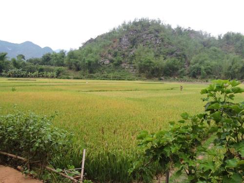 v7 11427239_694735244005118_868838105351019093_n