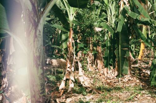 12030907_10153093818983531_785978133_n