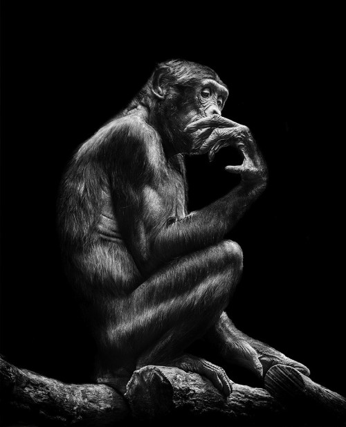 Pawel-Bogumil-In-Human-14