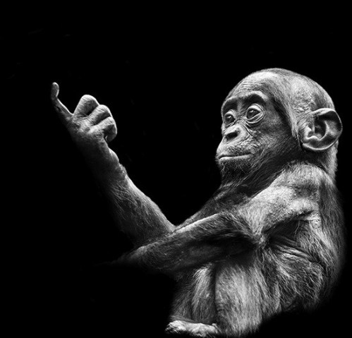 Pawel-Bogumil-In-Human-17